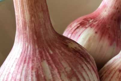 腌的糖蒜有點(diǎn)辣怎么補救,糖醋蒜幾個(gè)月了還是辣怎么辦圖1