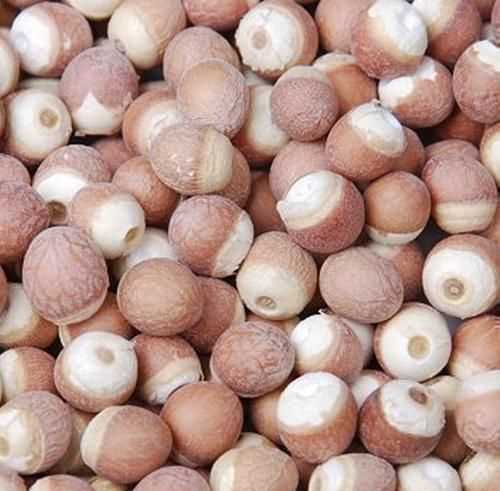 芡實(shí)和蓮子的區別圖片