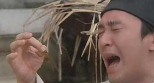 蟑螂存在的意義,夢(mèng)見(jiàn)蒼蠅和蟑螂是什么意思圖6