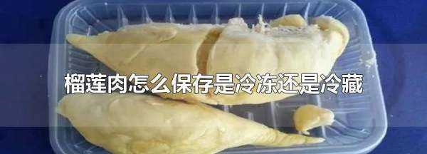 榴蓮肉冷凍還是冷藏,榴蓮的果肉怎么保存是冷凍還是冷藏圖2