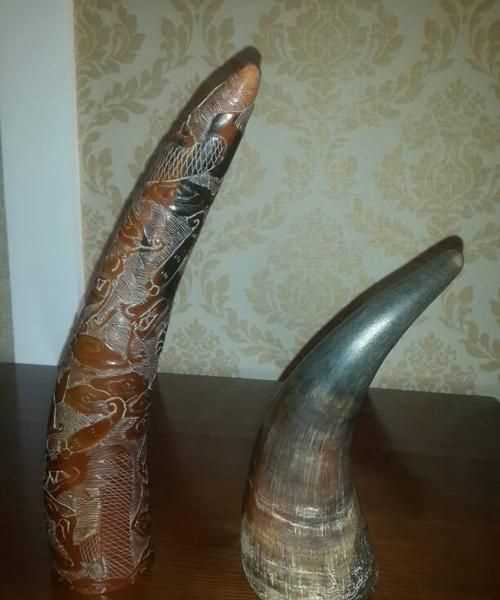 犀牛有幾個(gè)角