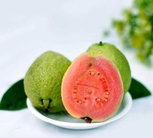 芭樂(lè )紅肉和白肉哪個(gè)好吃