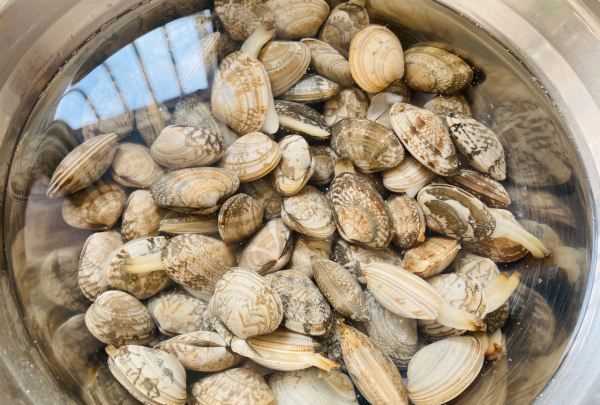 爆炒花甲的做法,爆炒花甲做法圖2