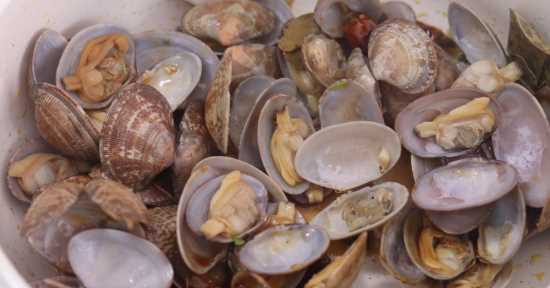 爆炒花甲的做法,爆炒花甲做法圖12