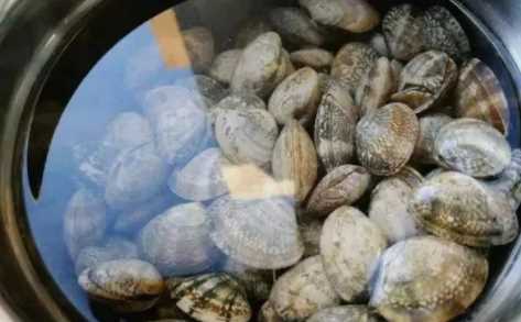 爆炒花甲的做法,爆炒花甲做法圖18