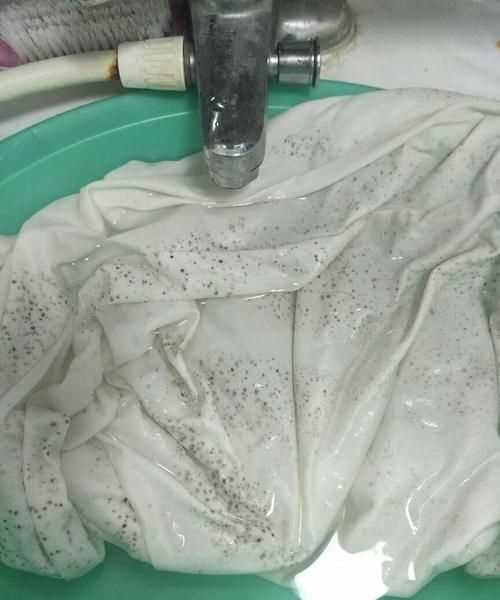 衣服后背發(fā)霉的衣服用什么洗能洗掉