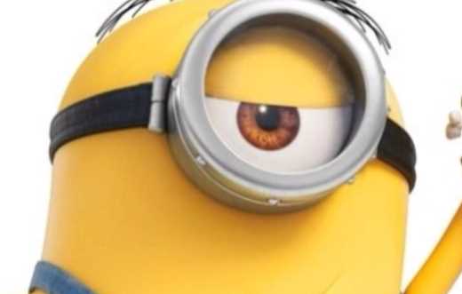 3個(gè)小黃人分別叫什么,《神偷奶爸》三個(gè)小黃人分別叫什么名字啊圖6