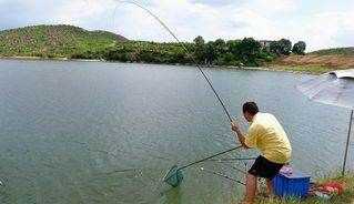 夏天釣鯽魚(yú)用哪些餌料配方,夏天釣鯽魚(yú)最佳餌料配方圖5