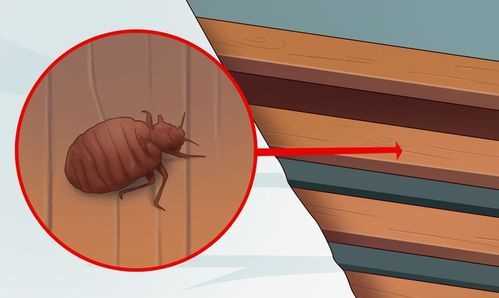 晚上開(kāi)燈睡覺(jué)對人有什么傷害