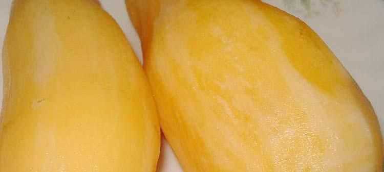 怎樣選擇成熟的.味道好的雪蓮果品種