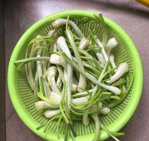 蕌頭如何腌制,農民種植水稻的過(guò)程圖6