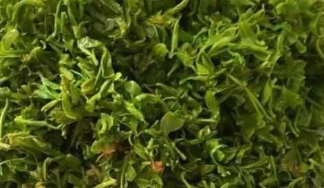 柳樹(shù)芽怎么吃,柳樹(shù)芽怎么做好吃,長(cháng)期吃可以嗎?圖7