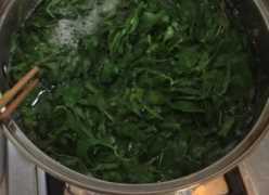 柳樹(shù)芽怎么吃,柳樹(shù)芽怎么做好吃,長(cháng)期吃可以嗎?圖11