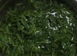 柳樹(shù)芽怎么吃,柳樹(shù)芽怎么做好吃,長(cháng)期吃可以嗎?圖12