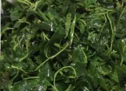 柳樹(shù)芽怎么吃,柳樹(shù)芽怎么做好吃,長(cháng)期吃可以嗎?圖13