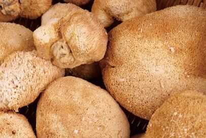 猴頭蘑菇怎么做法怎么吃,猴頭菇怎么做好吃圖6