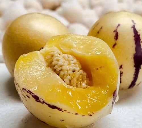 人生果怎么判斷熟了