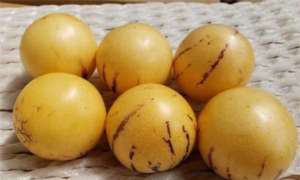 人參果怎樣才是熟了的