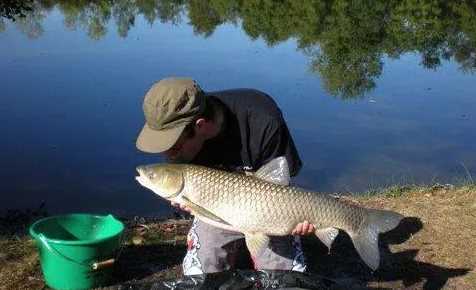 水庫釣草魚(yú)釣底還是釣浮,釣草魚(yú)是釣底還是釣浮比較好圖5