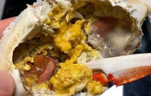 梭子蟹淡水可以養多久?