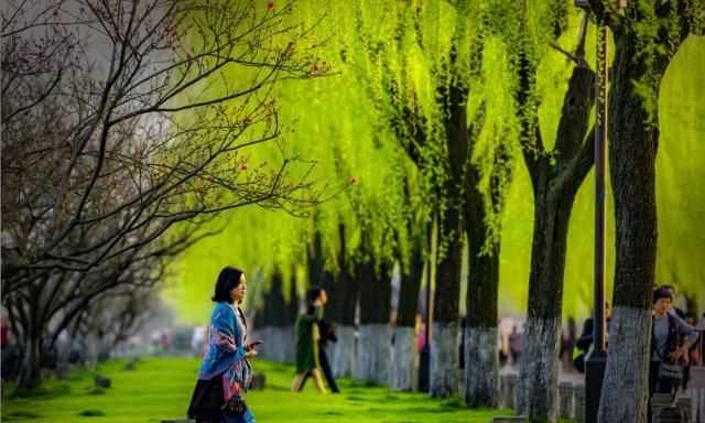 含苞欲放百花爭艷花紅柳綠春色滿(mǎn)園是什么季節