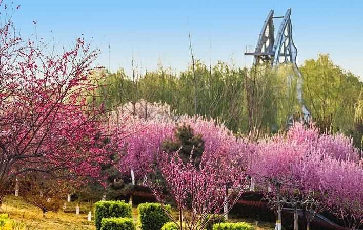 花紅柳綠是什么季節的詞語(yǔ)