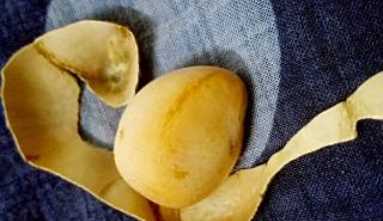 怎樣剝鳳眼果,什么是鳳眼果?圖3