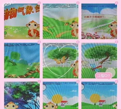 哪些小動(dòng)物能預知下雨的視頻