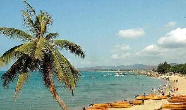 ?？诤腿齺喌木暥确謩e是多少