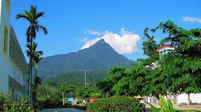 ?？谑侨齺唵?，?？诤腿齺喌木暥确謩e是多少？圖5