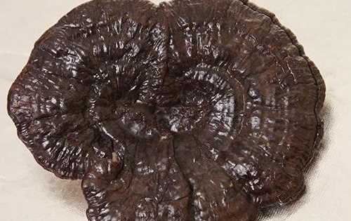 赤靈芝和紫靈芝有什么區別,黑靈芝赤靈芝紫靈芝它們的功效有什么區別圖2