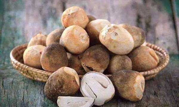 市場(chǎng)上常吃的蘑菇種類(lèi),常吃的20種蘑菇的種類(lèi)圖片圖8