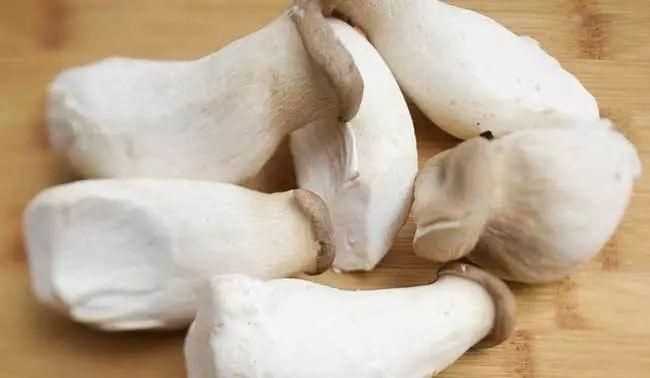 常吃的20種蘑菇的種類(lèi)圖片