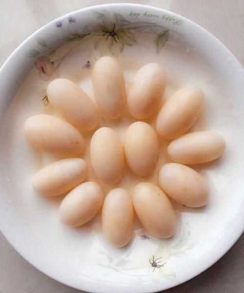 烏龜蛋可以吃嗎有什么營(yíng)養