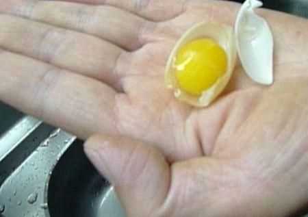 沙灘上的烏龜生蛋怎么做好吃的