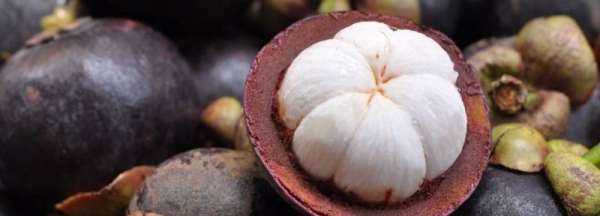 怎么快速徒手剝山竹,怎么快速徒手剝山竹殼圖1