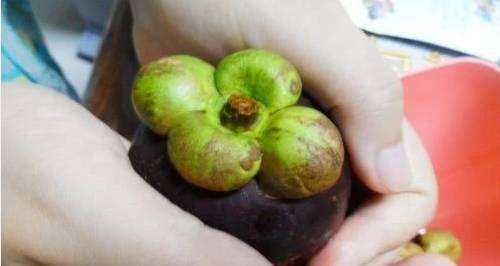 怎么快速徒手剝山竹,怎么快速徒手剝山竹殼圖2