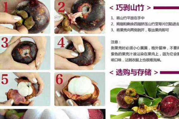 怎么快速徒手剝山竹,怎么快速徒手剝山竹殼圖5
