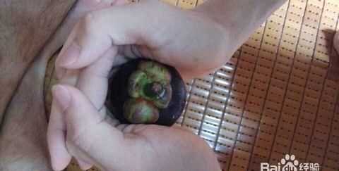 山竹應該怎么剝皮