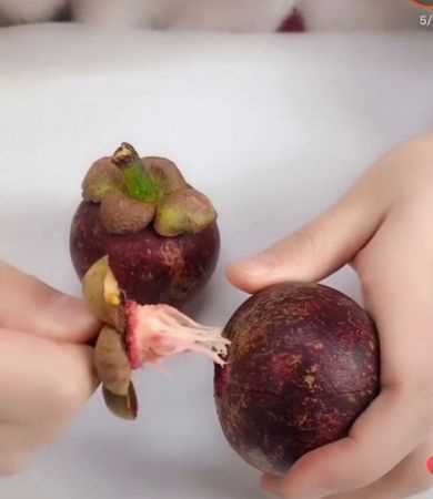 山竹如何剝皮圖解剝山竹的方法和竅門(mén)視頻