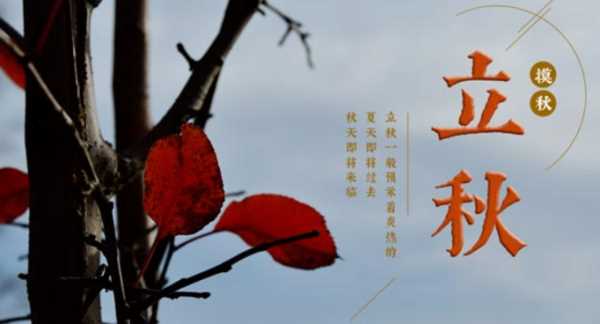 幾點(diǎn)立秋是早秋還是晚秋,什么時(shí)候立秋2022年的幾月份立秋圖2