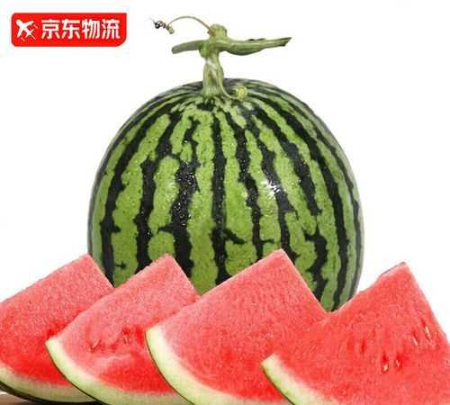 整個(gè)西瓜儲存方法和時(shí)間