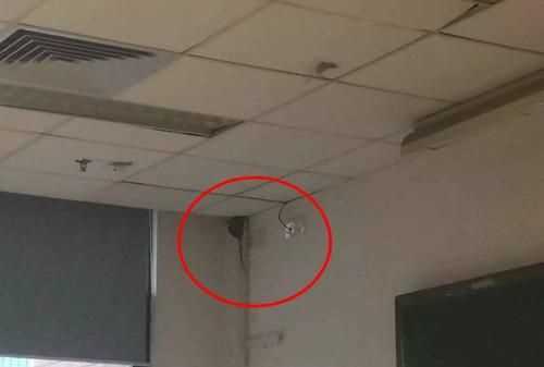 我的單位辦公室和宿舍棚上，里面有老鼠怎么辦，求助各位了