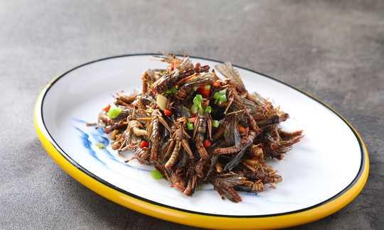 螞蚱可以吃,農村草叢里常見(jiàn)的螞蚱圖片圖2