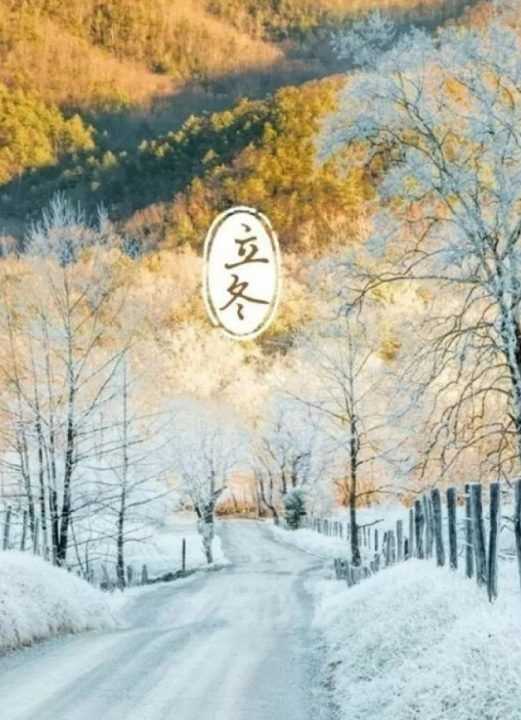 立冬吃餃子的寓意,立冬節氣吃餃子的含義是什么圖3