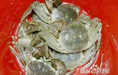 螃蟹可以放水里養著(zhù)嗎
