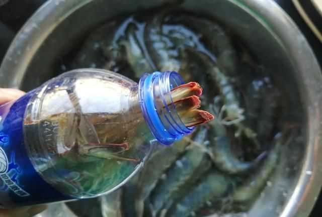 礦泉水瓶?jì)鑫r要放水嗎