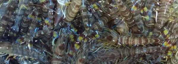 礦泉水瓶?jì)鑫r要放水,礦泉水瓶?jì)鑫r要放水嗎圖4