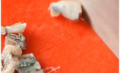 田雞怎么炒才不會(huì )老,炒田雞怎么做好吃圖11