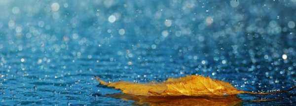 雨的種類(lèi)英語(yǔ),雨的種類(lèi)圖1